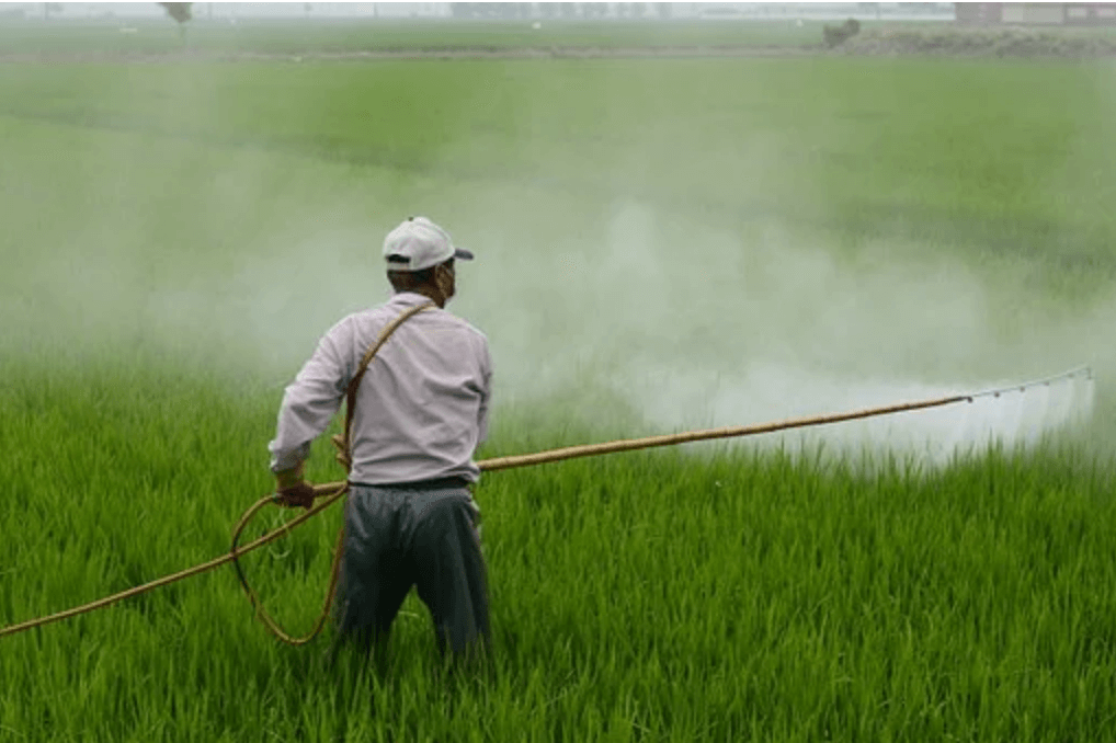 Paraquat Poisoning: What We Know About it in 2021