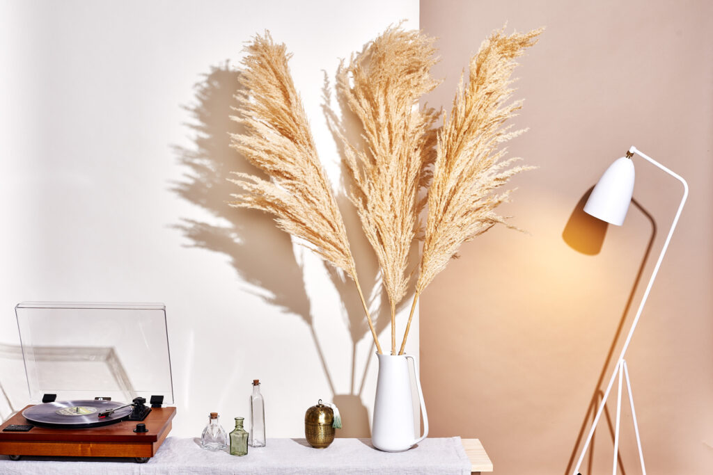 Pampas Grass Decorating Ideas For A Cosy And Chic Home Hinterland Gazette   Pampas Grass Decor 1024x683 